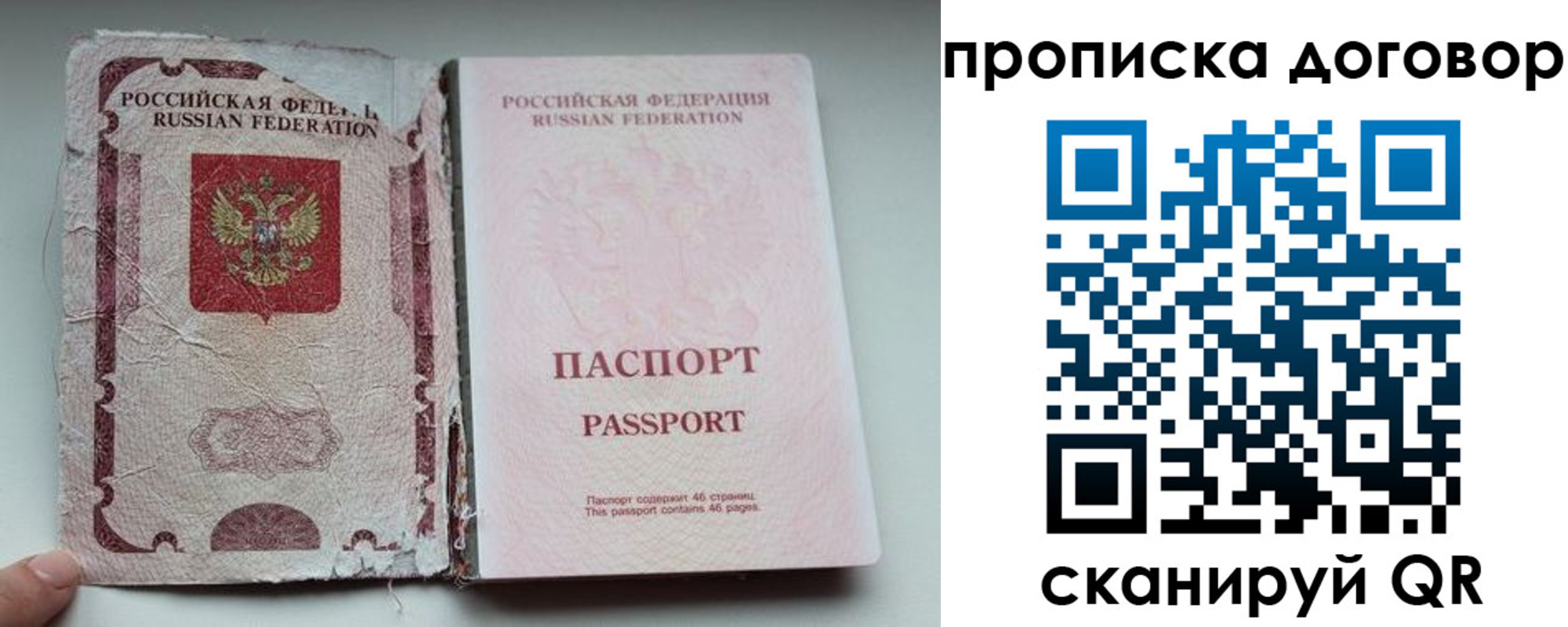 прописка поиск в Новгородской области